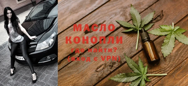 индика Абаза