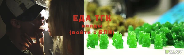 индика Абаза